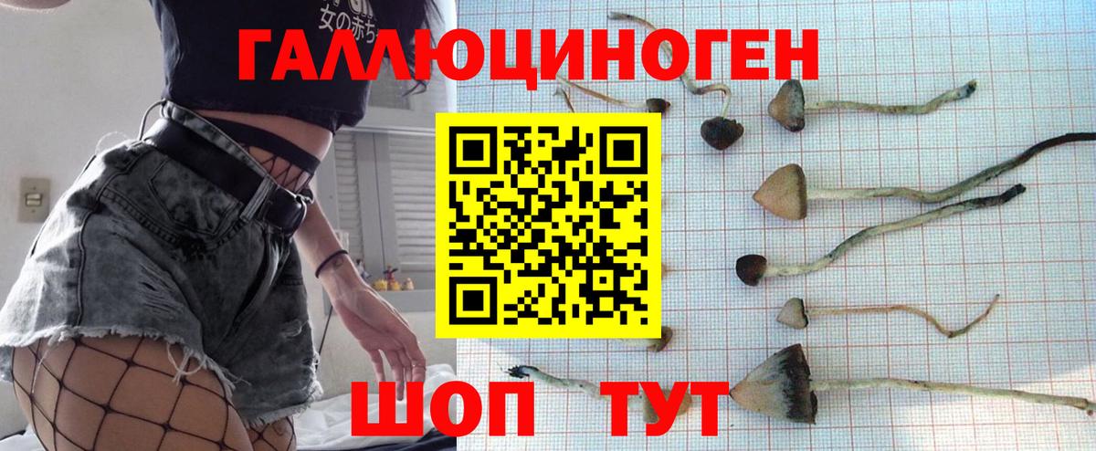 Галлюциногенные грибы Magic Shrooms  Вход с VPN  Ставрополь 